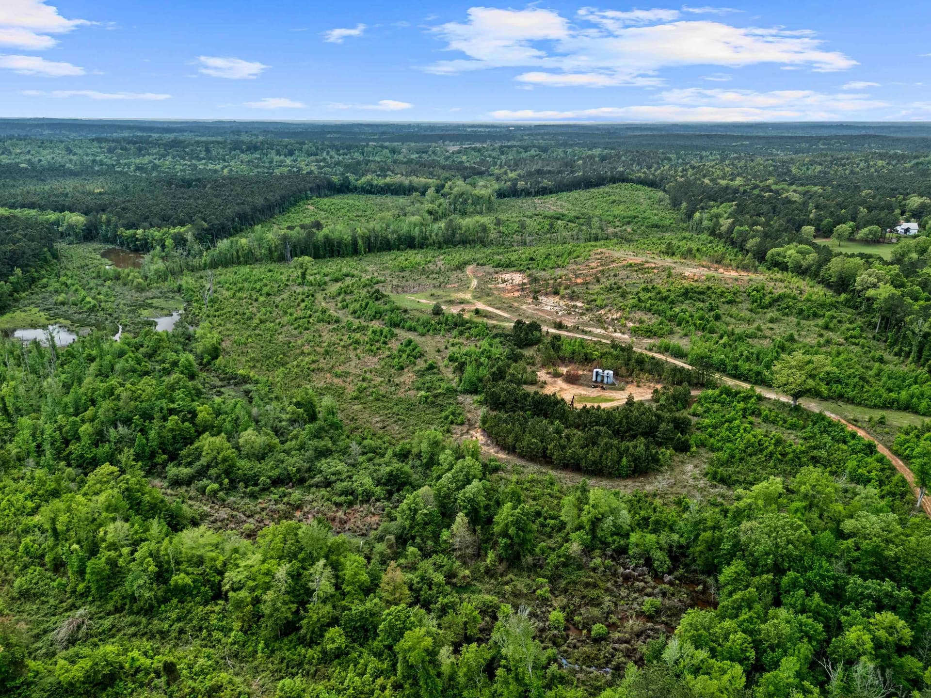 145.05 acres in Marion County - photo 28