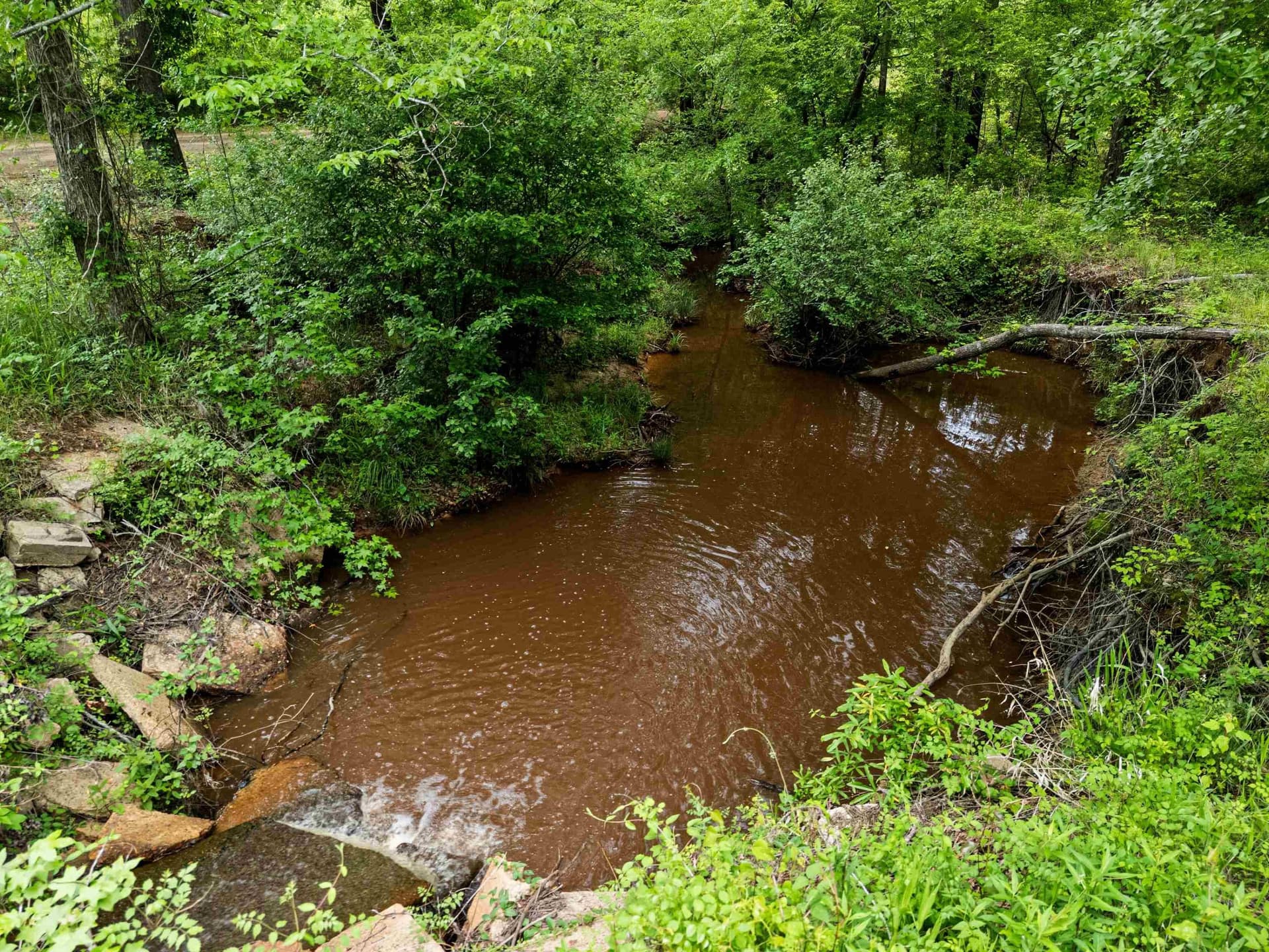 145.05 acres in Marion County - photo 40