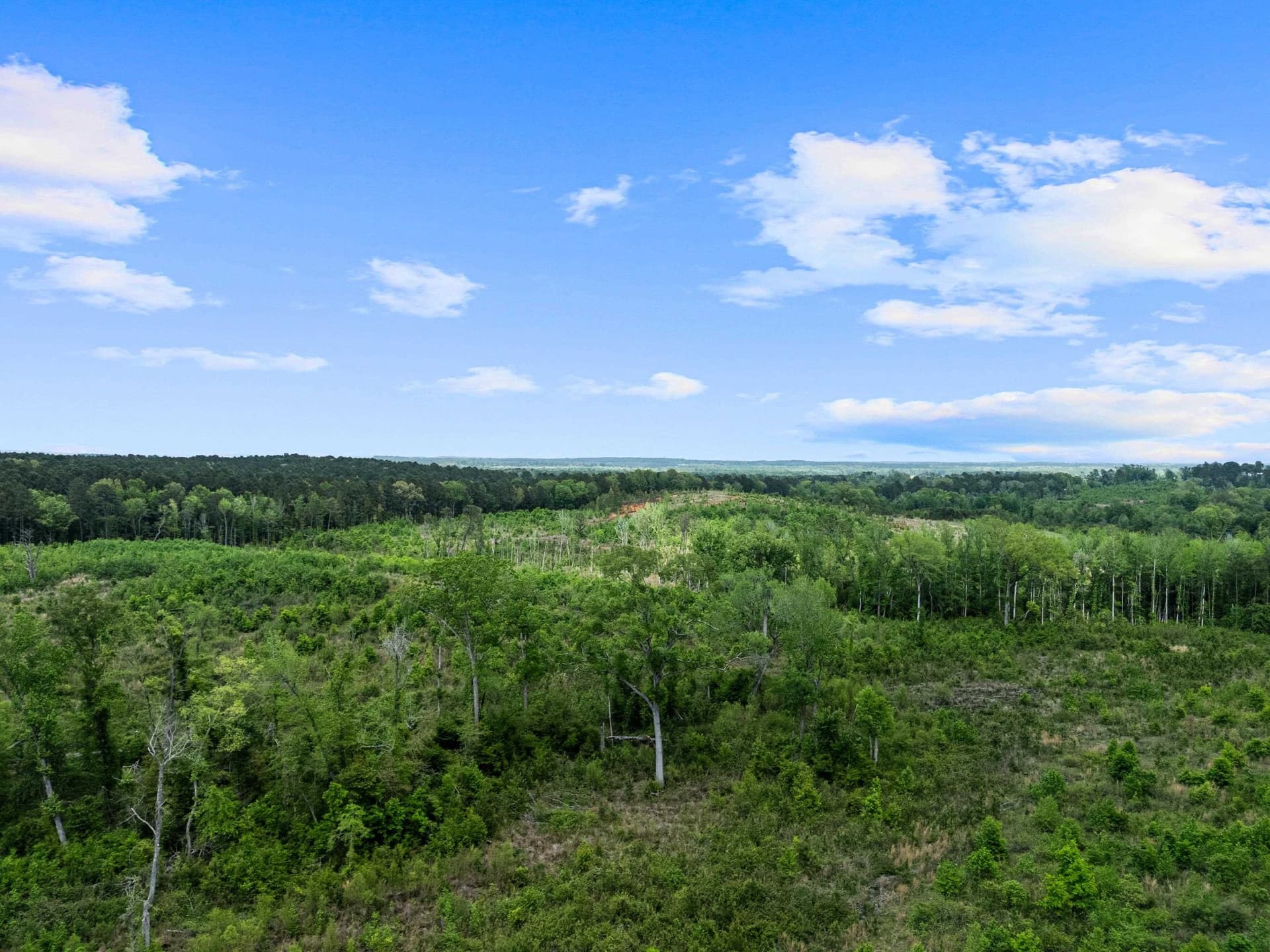 145.05 acres in Marion County - photo 18