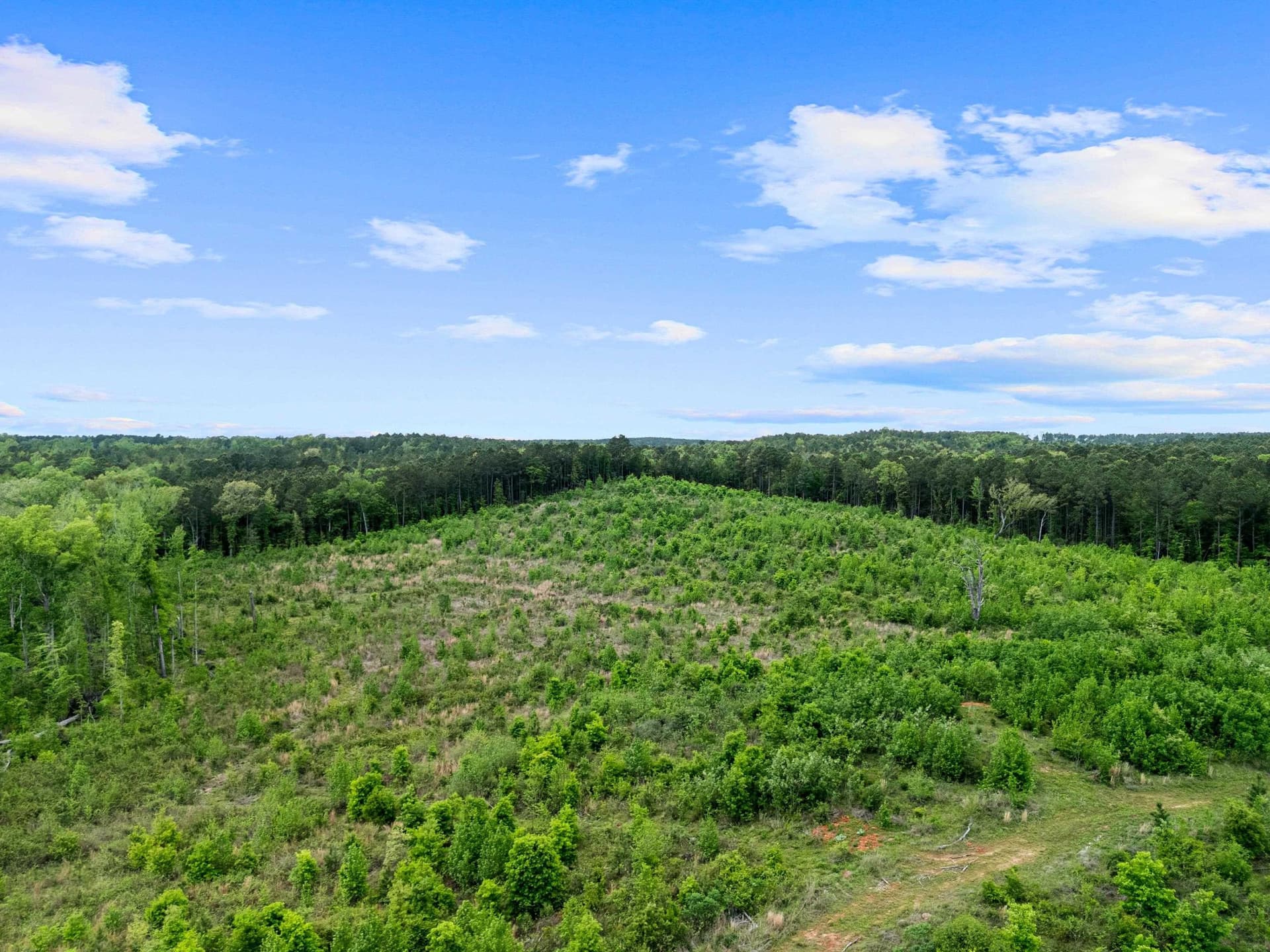145.05 acres in Marion County - photo 17