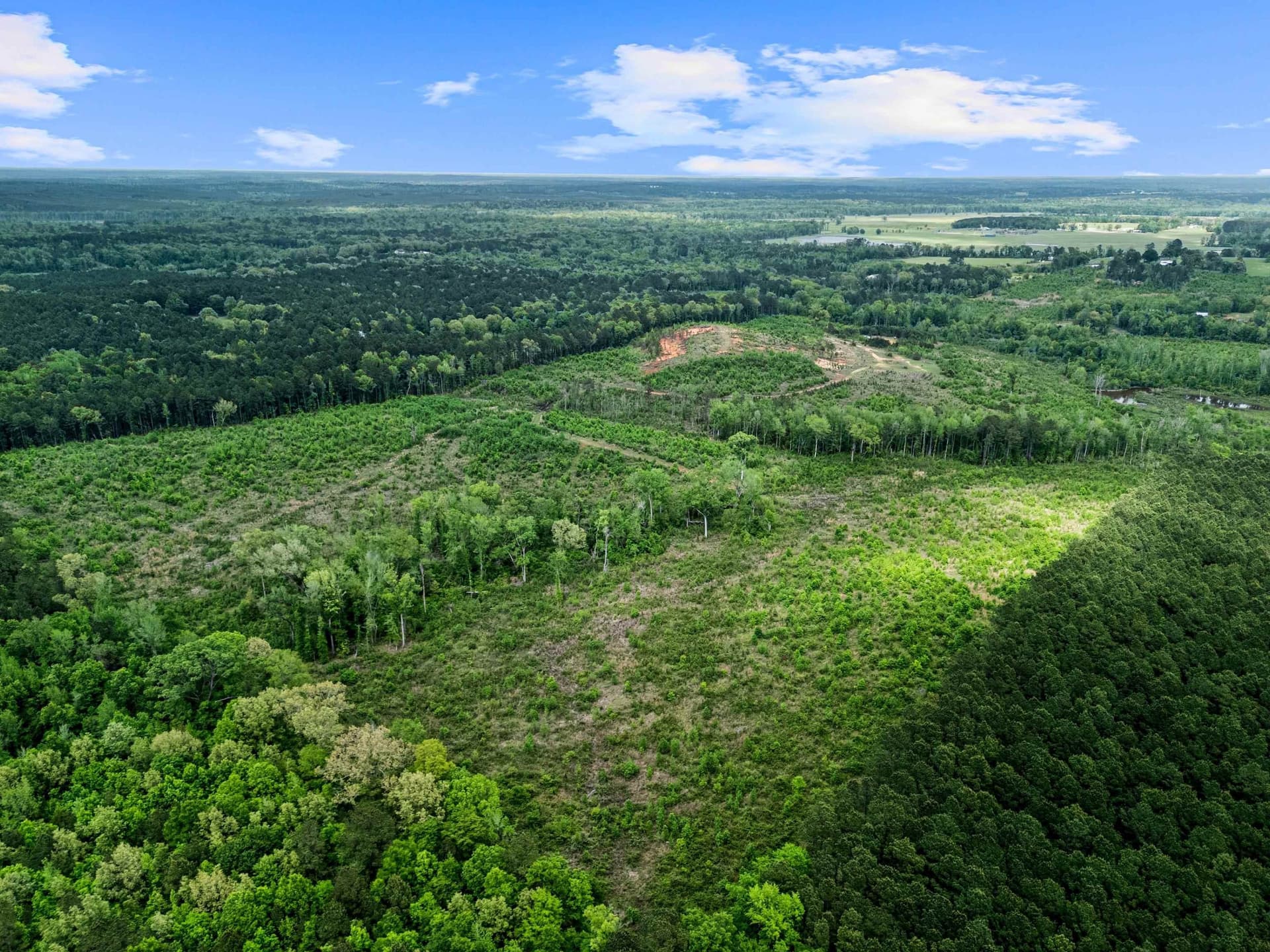 145.05 acres in Marion County - photo 32