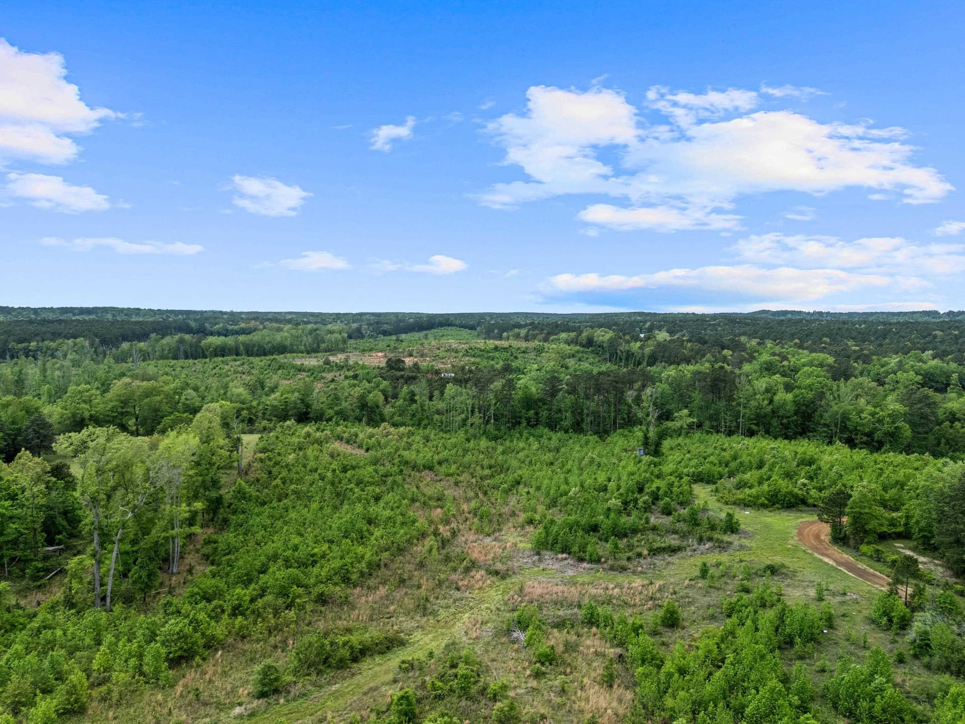 145.05 acres in Marion County - photo 13