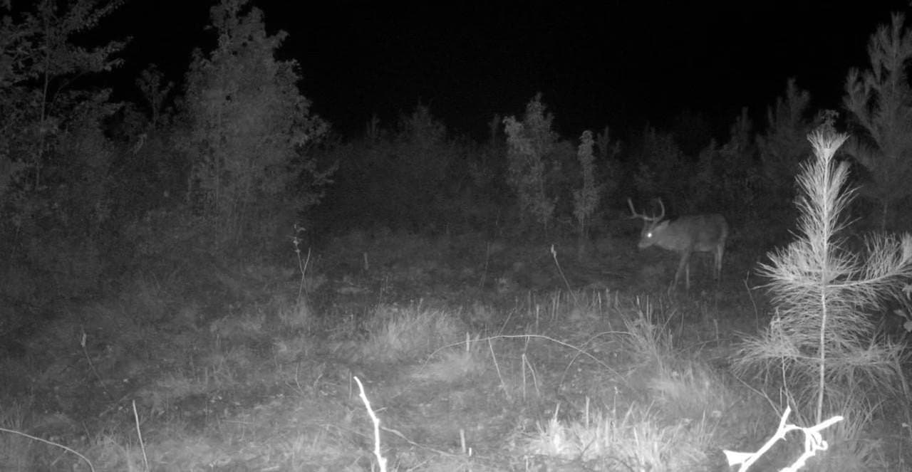 145.05 acres in Marion County - photo 41