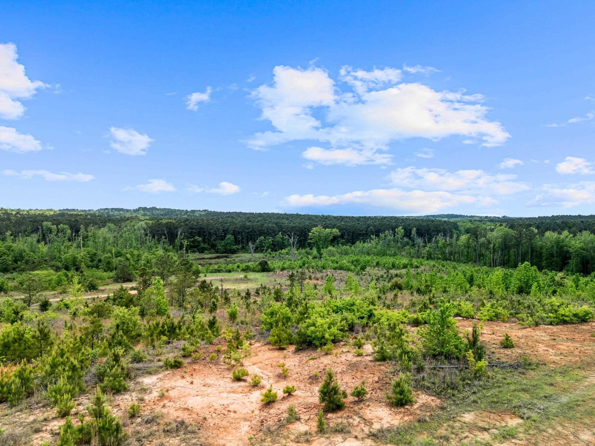 145.05 acres in Marion County - photo 6