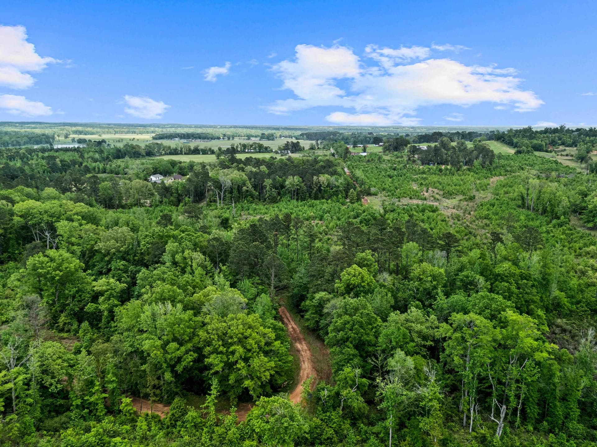 145.05 acres in Marion County - photo 9