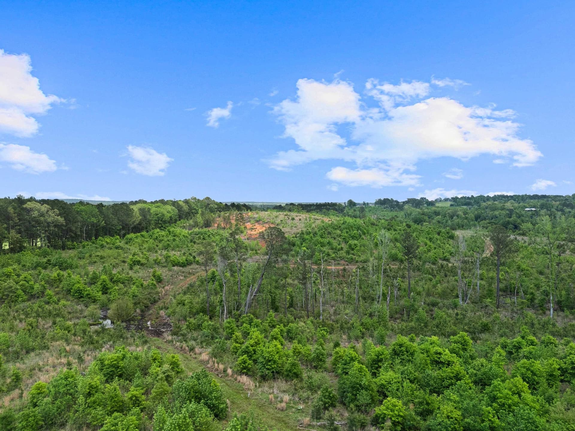 145.05 acres in Marion County - photo 19