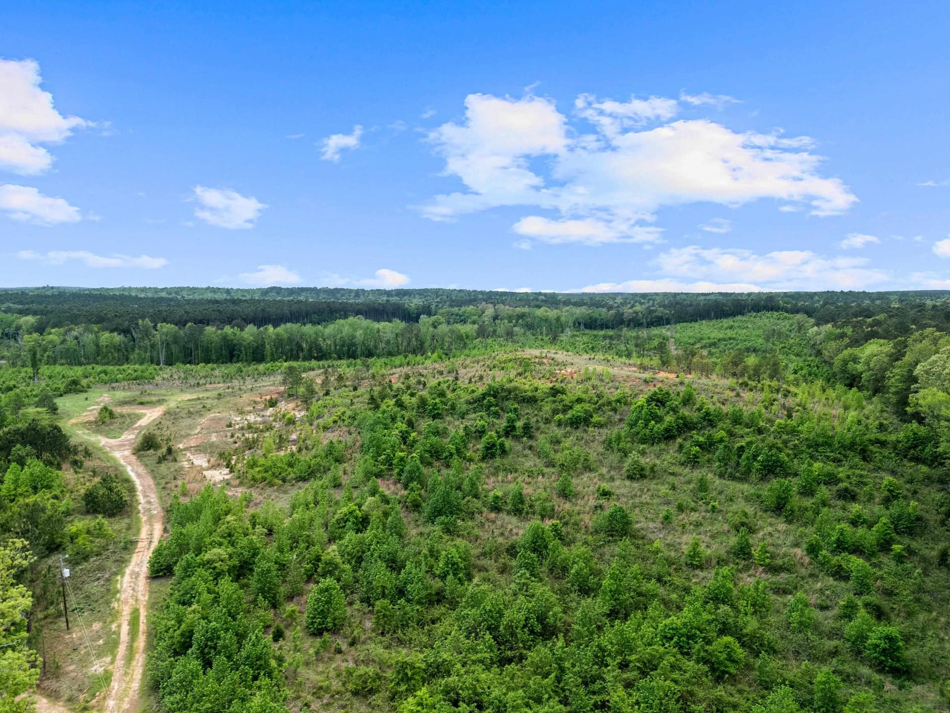 145.05 acres in Marion County - photo 15