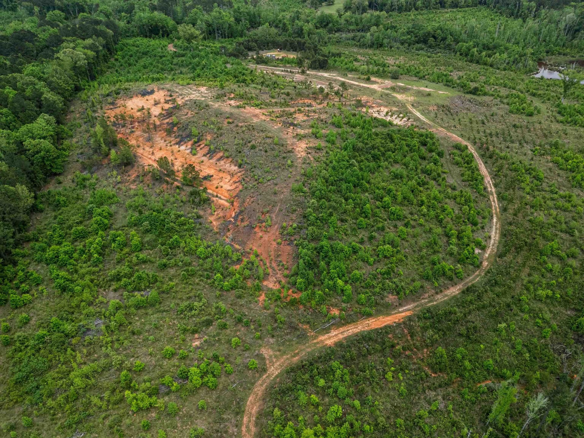 145.05 acres in Marion County - photo 21