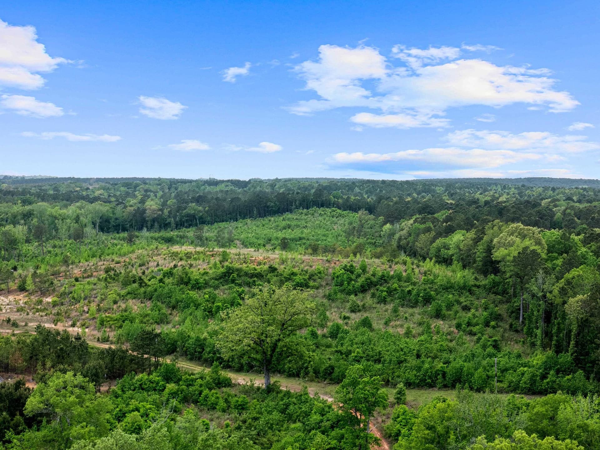 145.05 acres in Marion County - photo 33