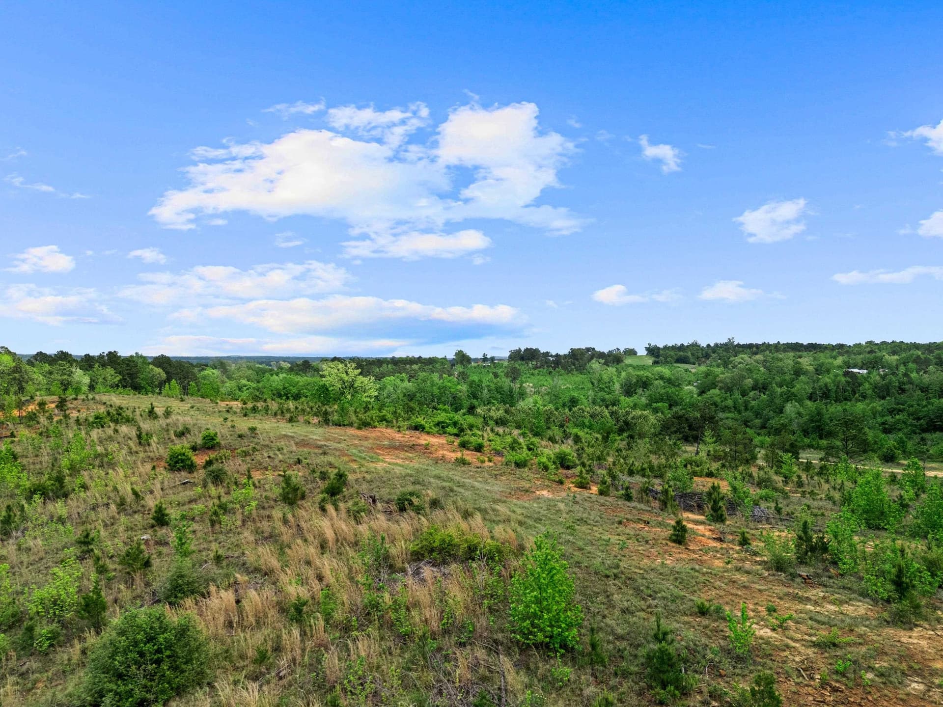 145.05 acres in Marion County gallery image 3