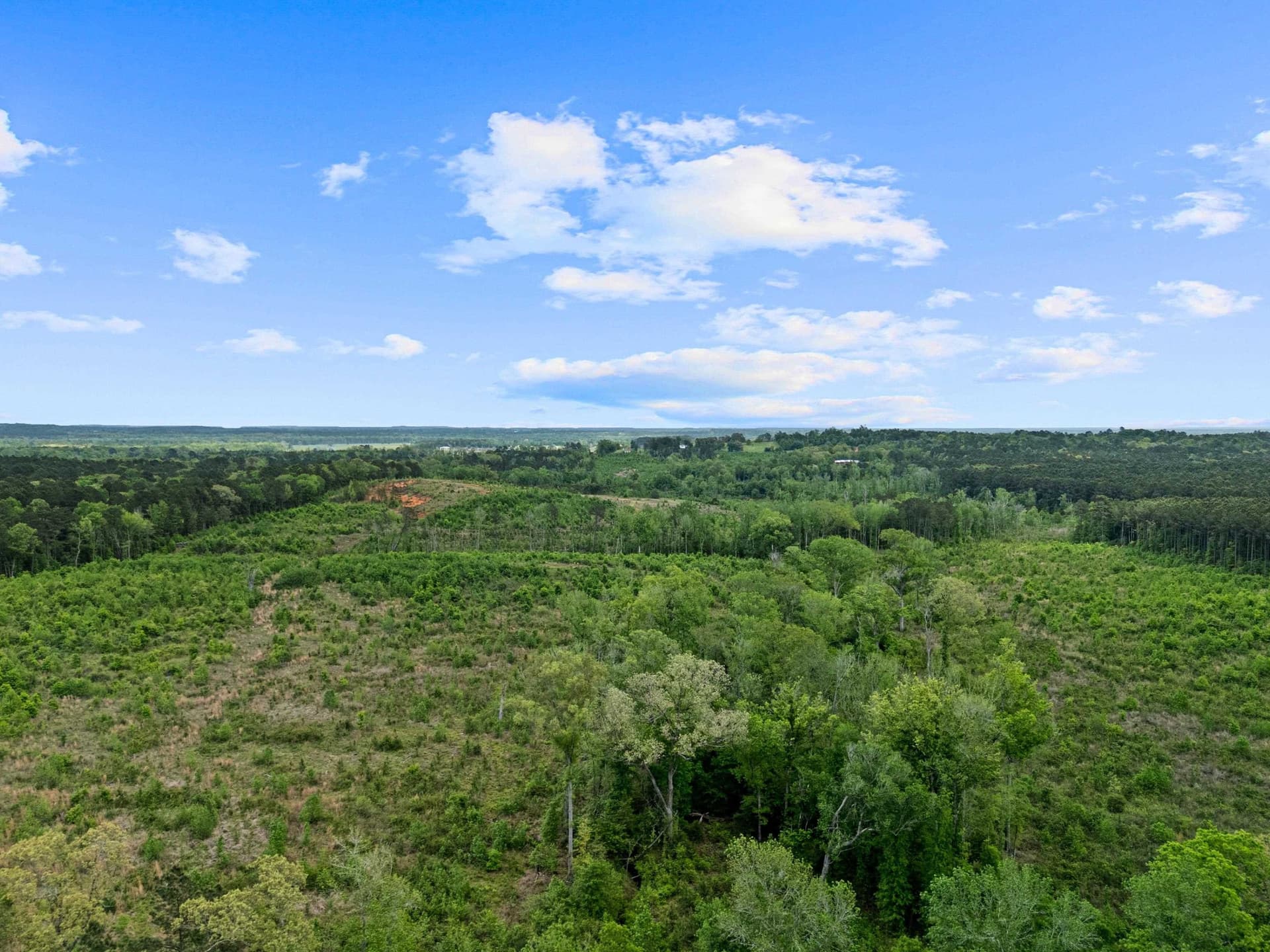 145.05 acres in Marion County - photo 31