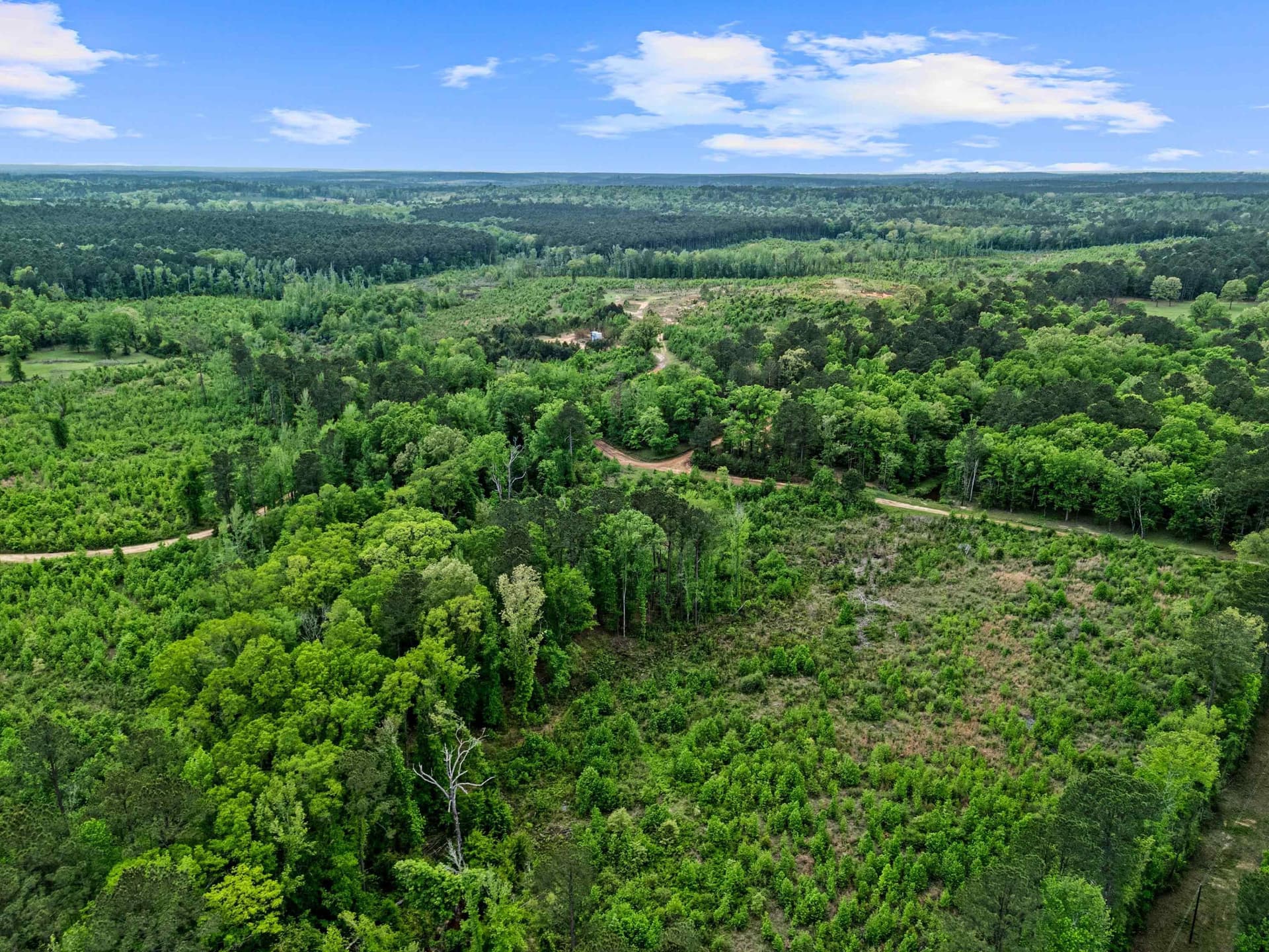 145.05 acres in Marion County - photo 37