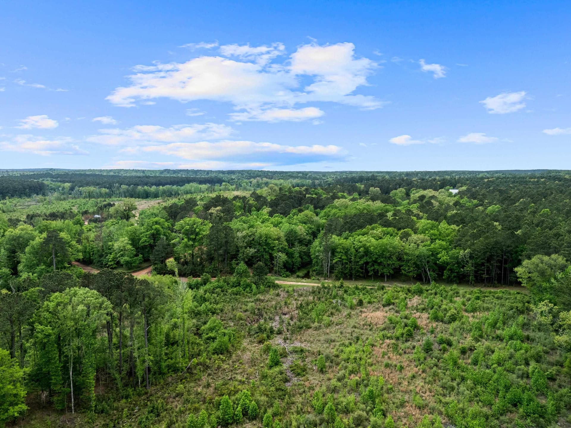145.05 acres in Marion County - photo 38