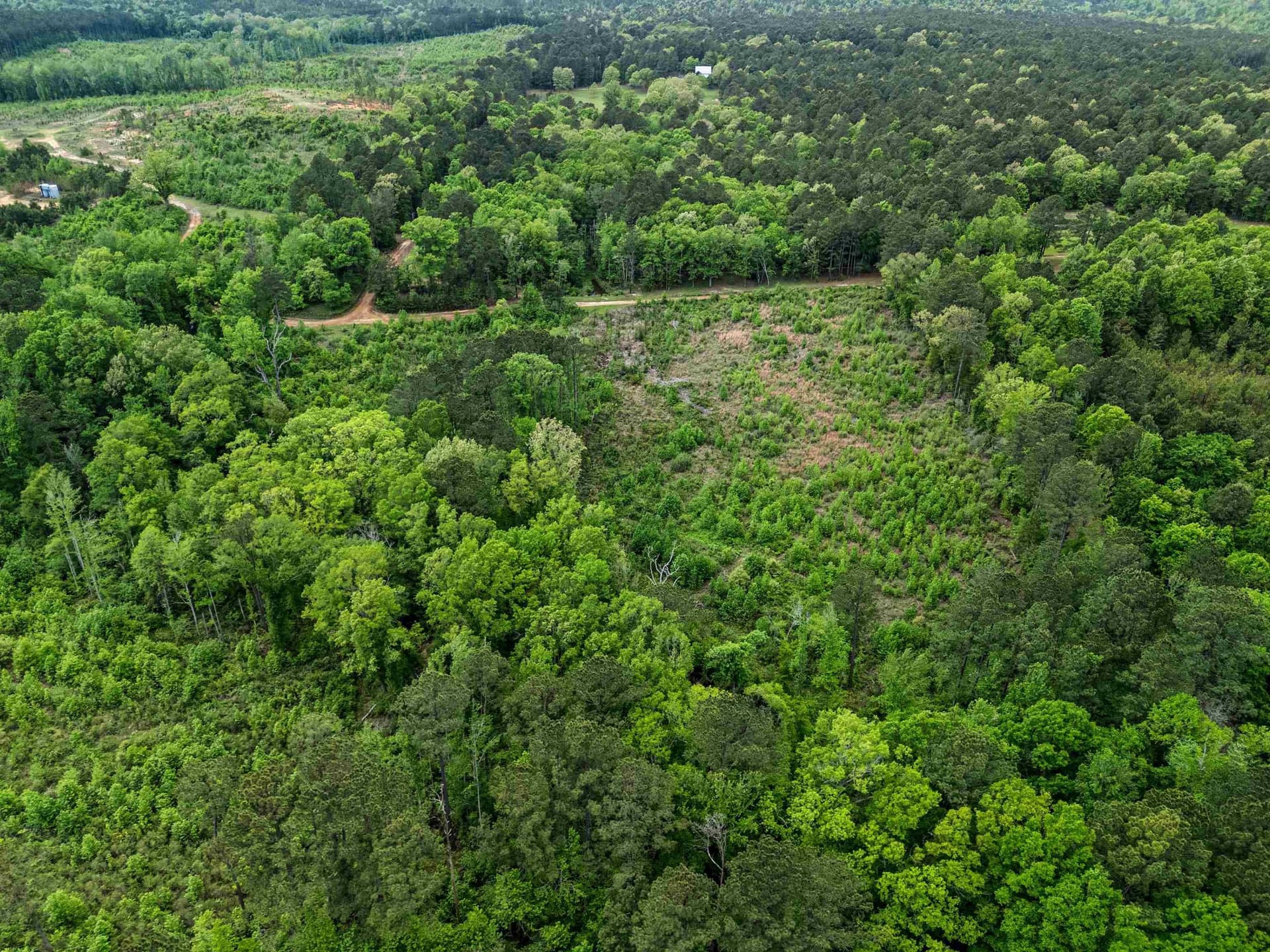 145.05 acres in Marion County - photo 26