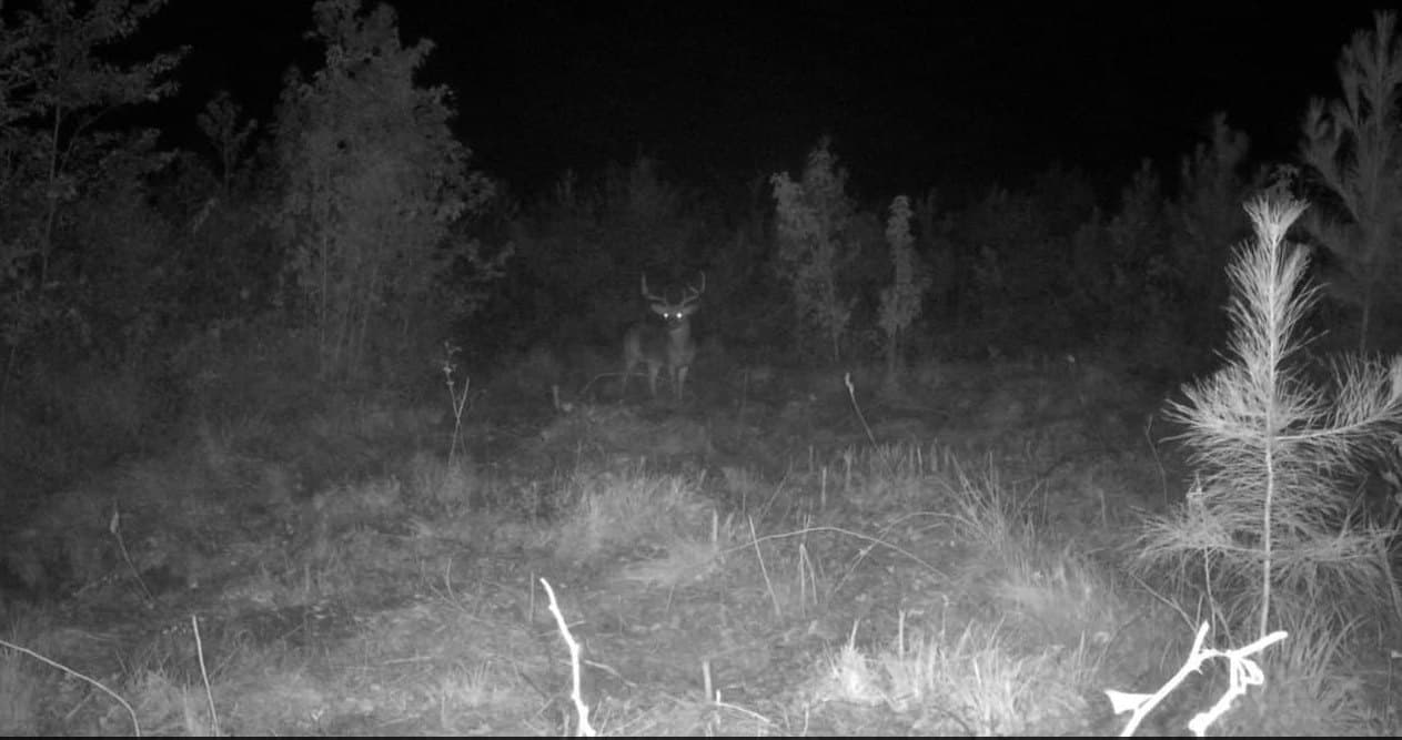 145.05 acres in Marion County - photo 12