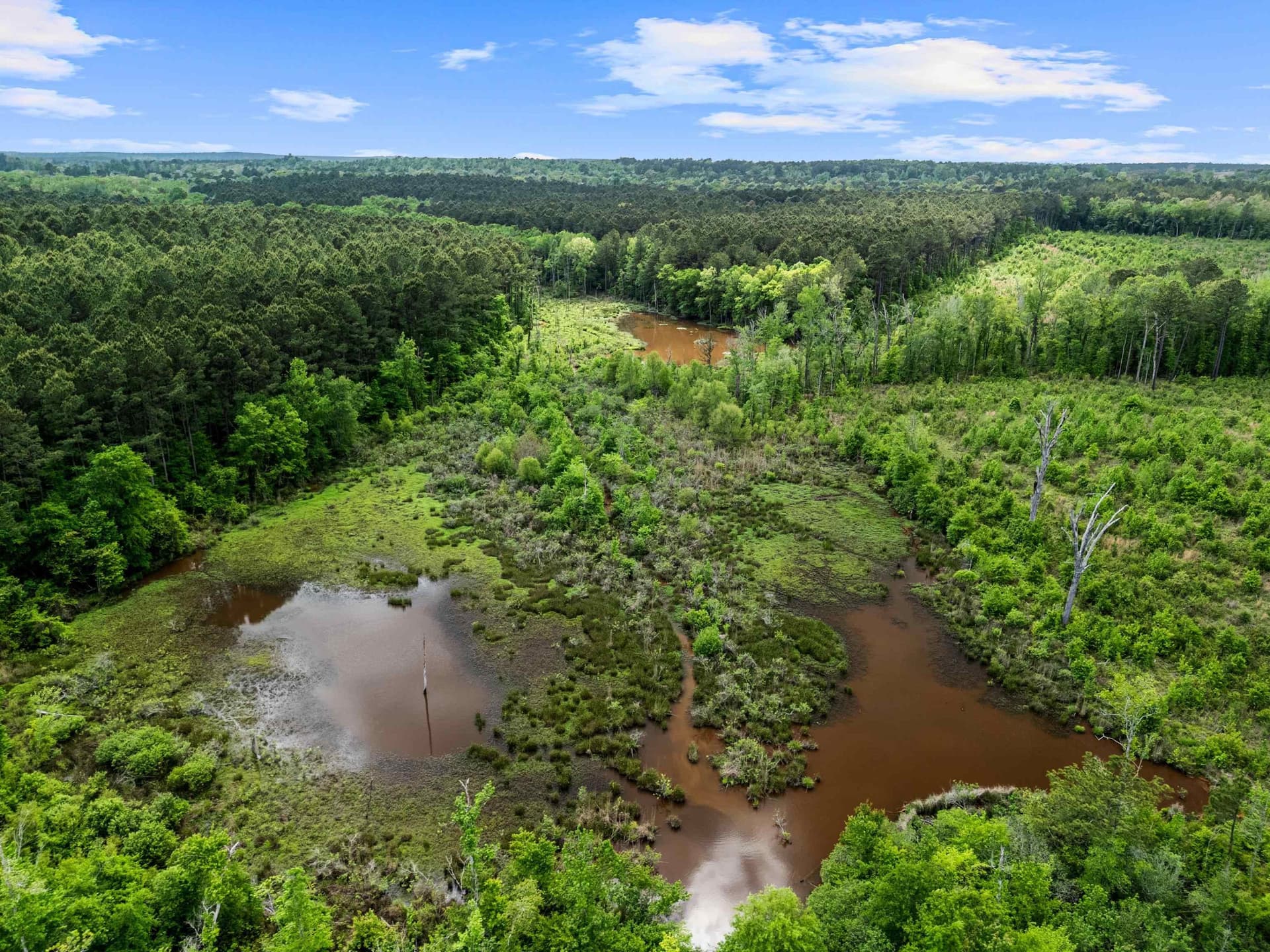 145.05 acres in Marion County - photo 29