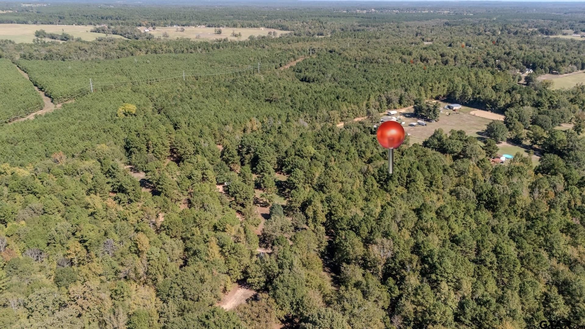 14.36 acres in Upshur County gallery image 2