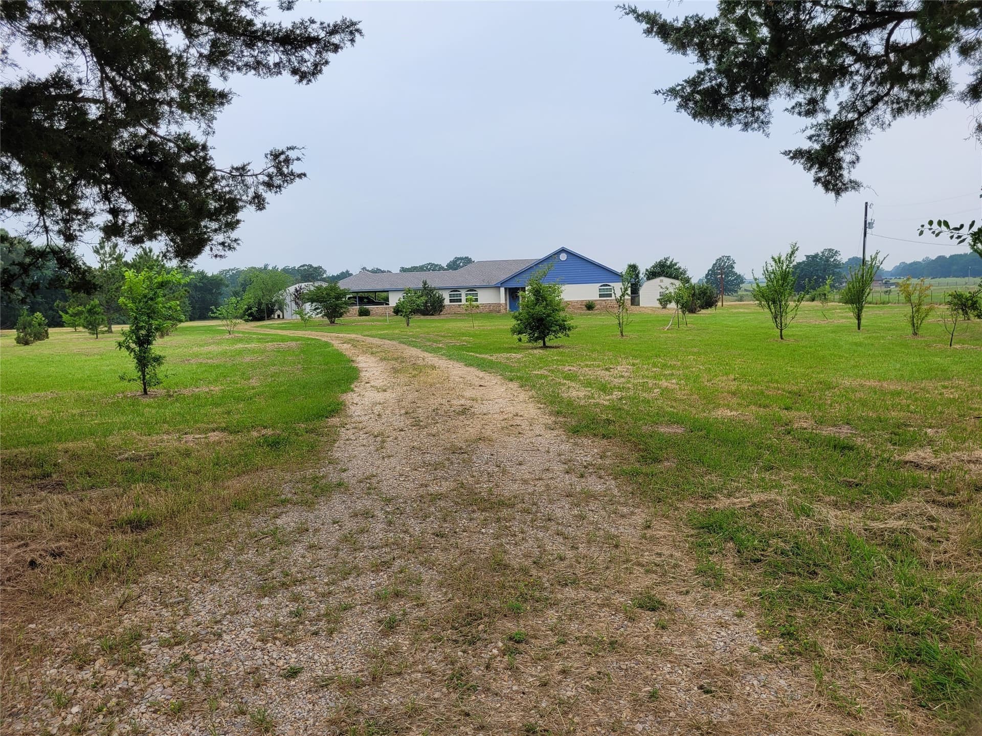 10 acres in Lamar County gallery image 3