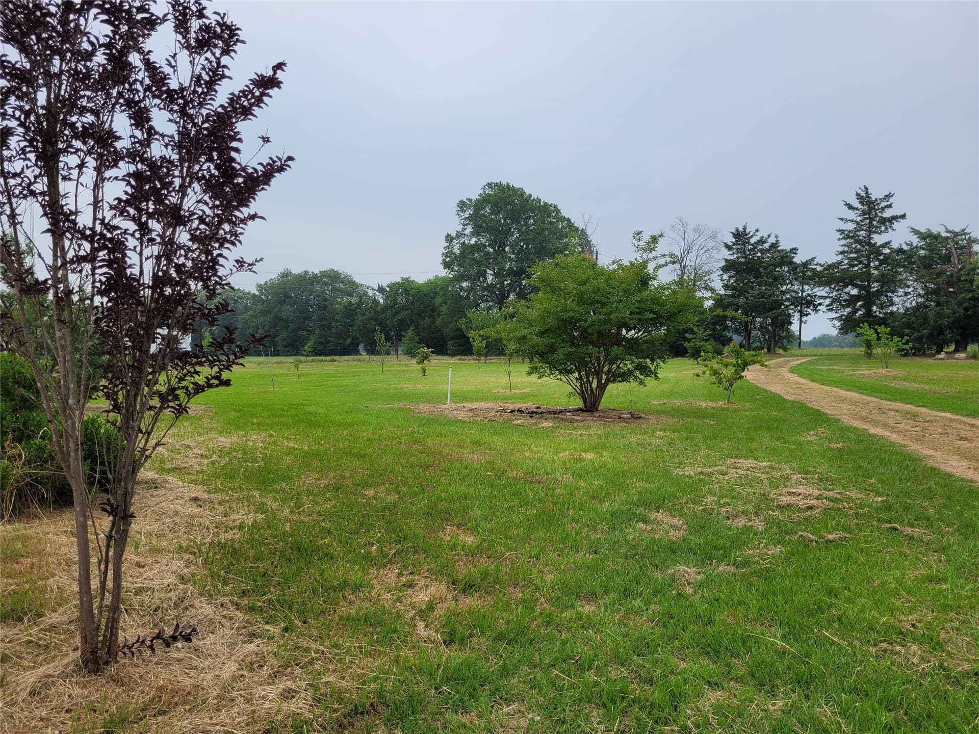 10 acres in Lamar County - photo 33