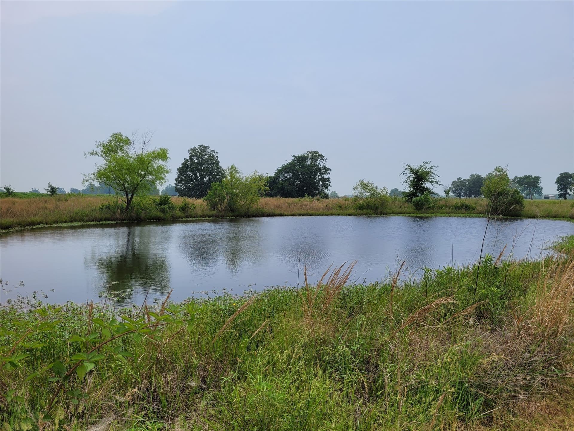 10 acres in Lamar County - photo 39