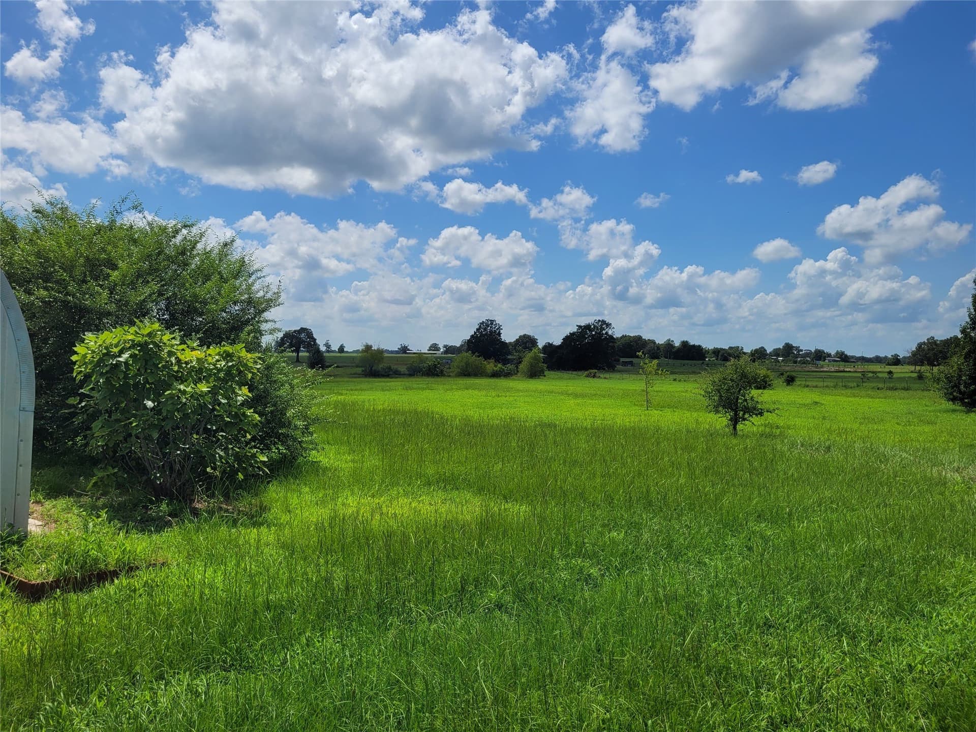 10 acres in Lamar County - photo 7