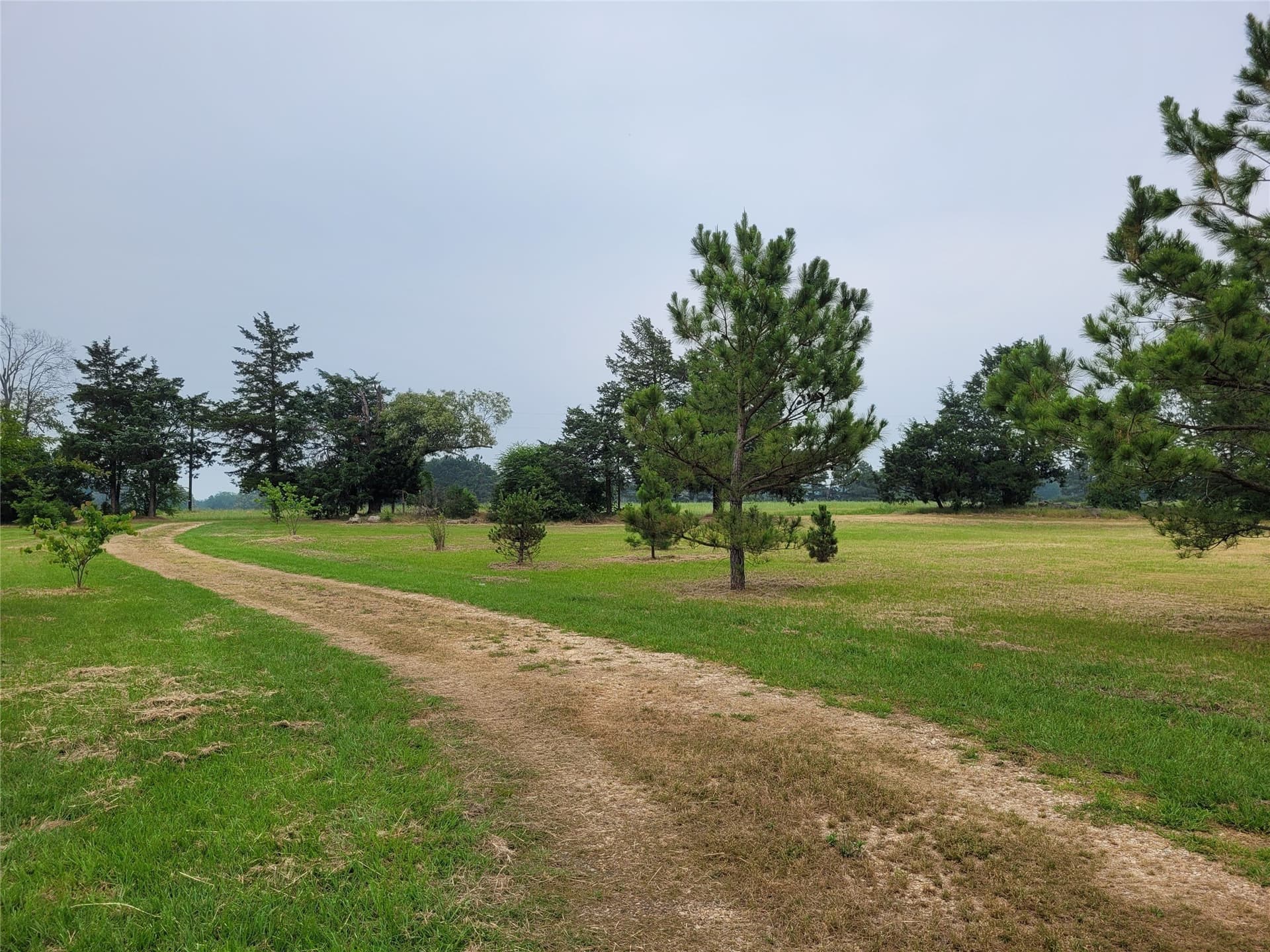 10 acres in Lamar County gallery image 4