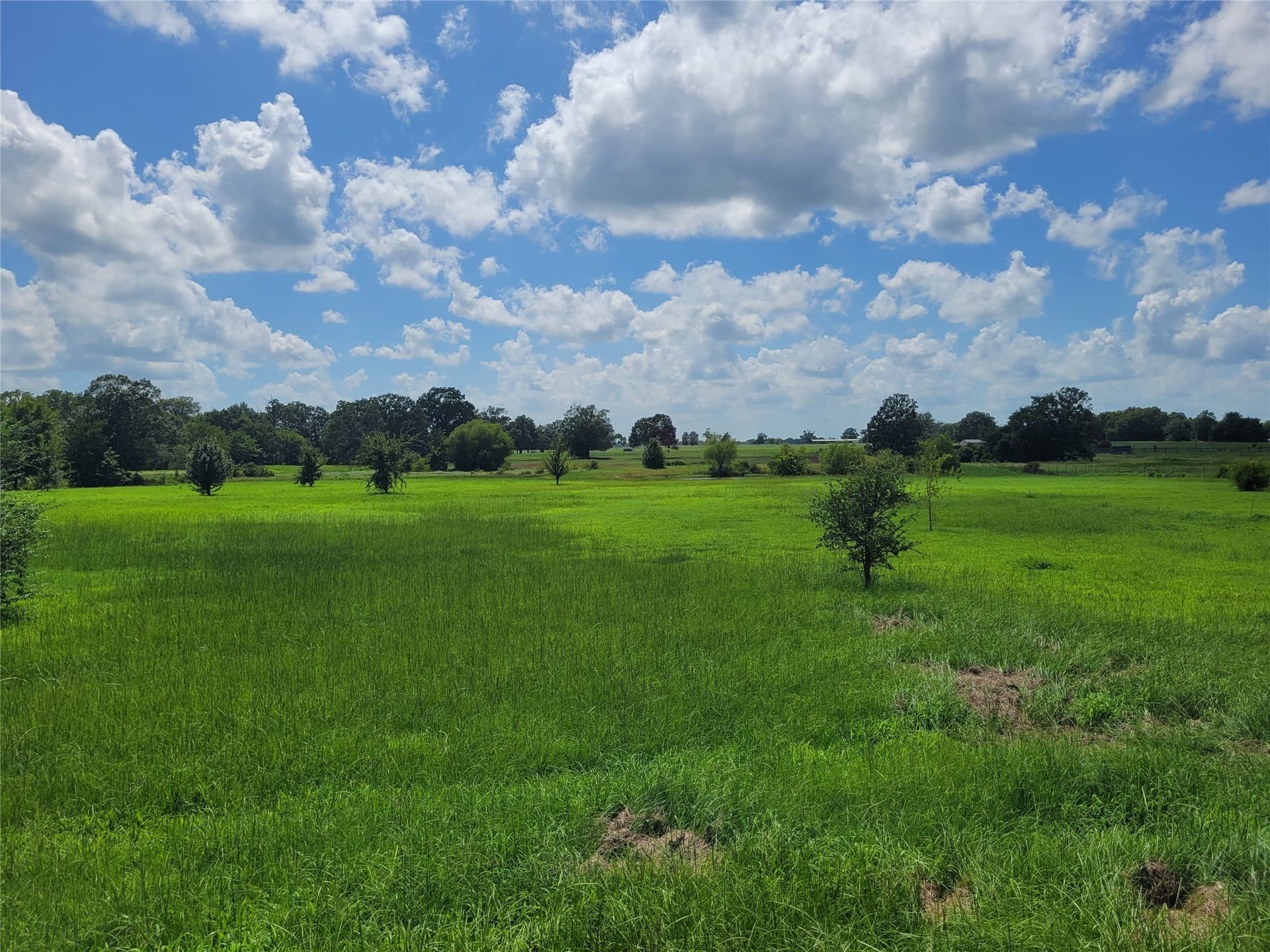 10 acres in Lamar County - photo 8