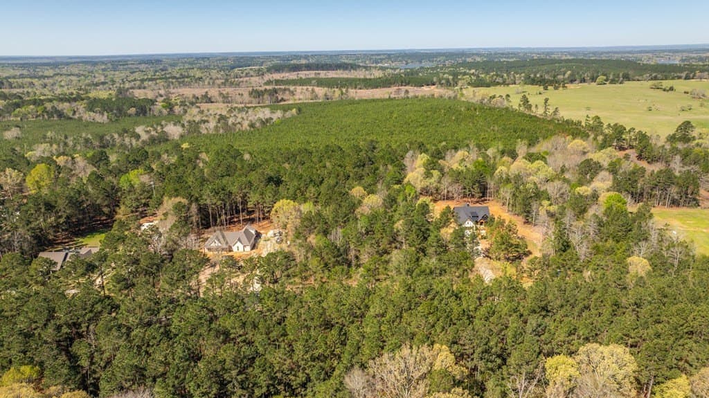3 acres in Texas County gallery image 4