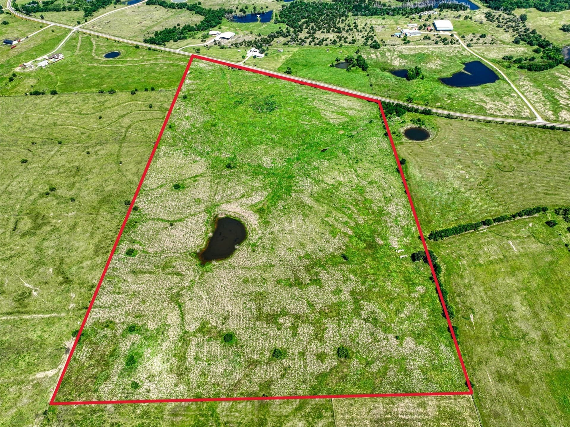 50 acres in Navarro County gallery image 3