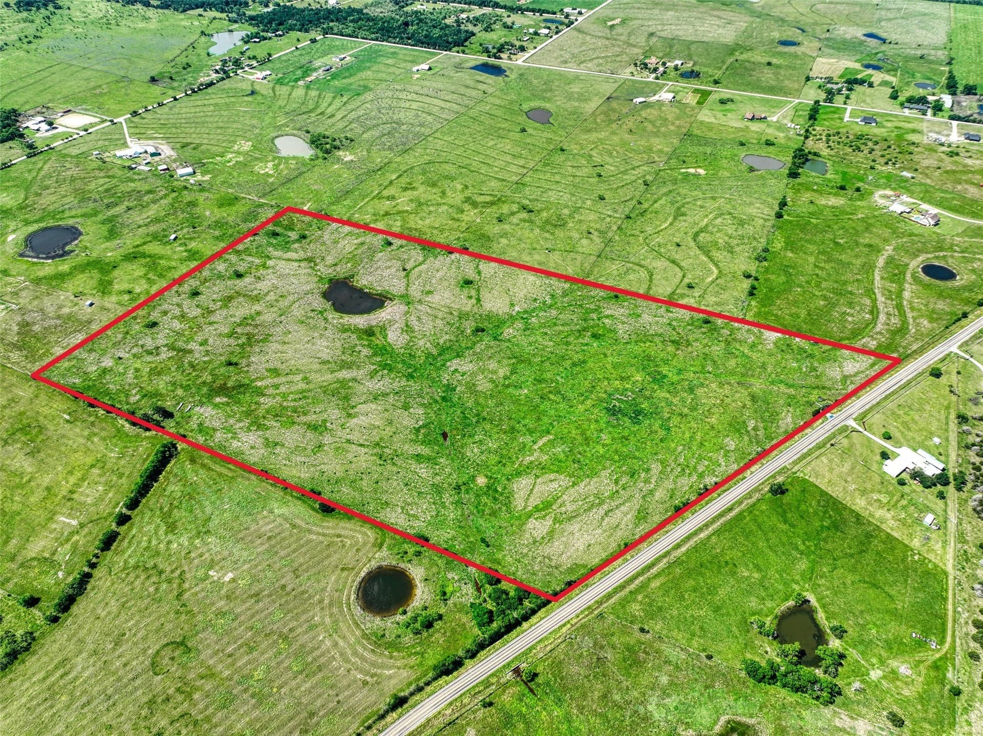 50 acres in Navarro County gallery image 2