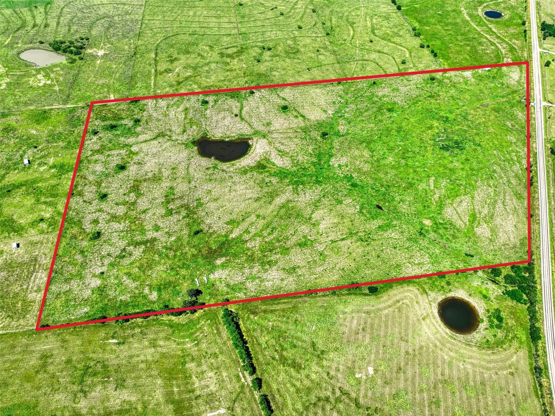 50 acres in Navarro County gallery image 4