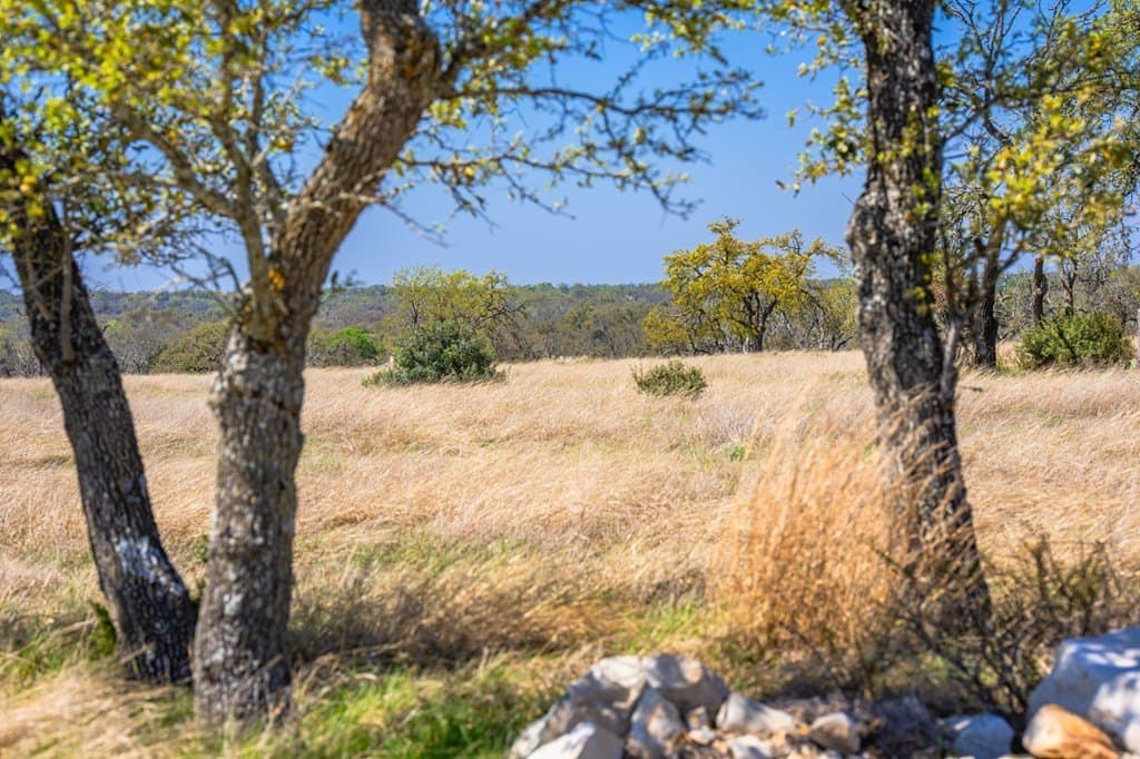 5.16 acres in Gillespie County gallery image 2