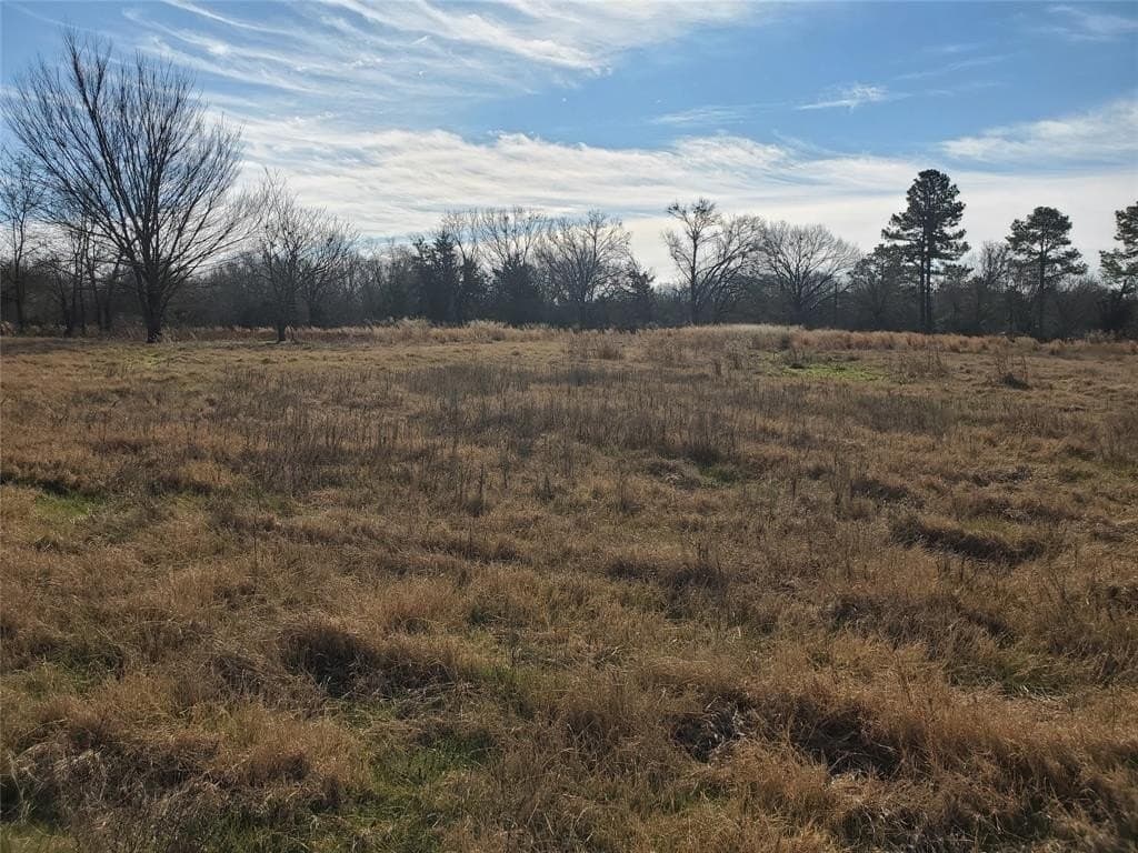3 acres in Rains County featured view