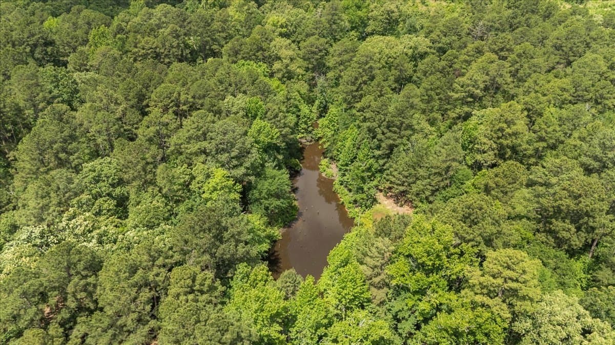 100.56 acres in Wood County - photo 11