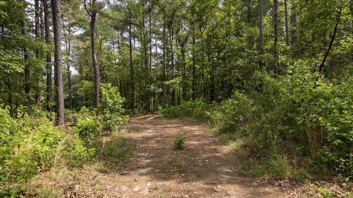 100.56 acres in Wood County - photo 8