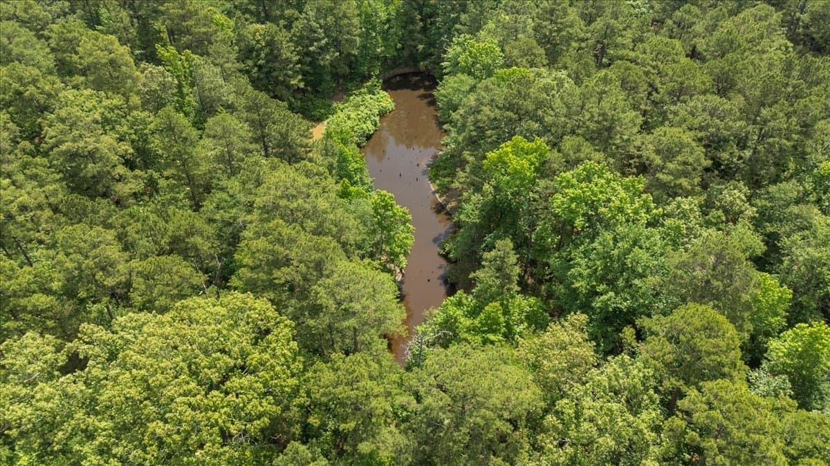 100.56 acres in Wood County - photo 10