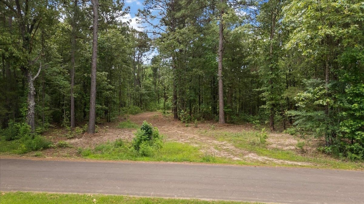 100.56 acres in Wood County - photo 9