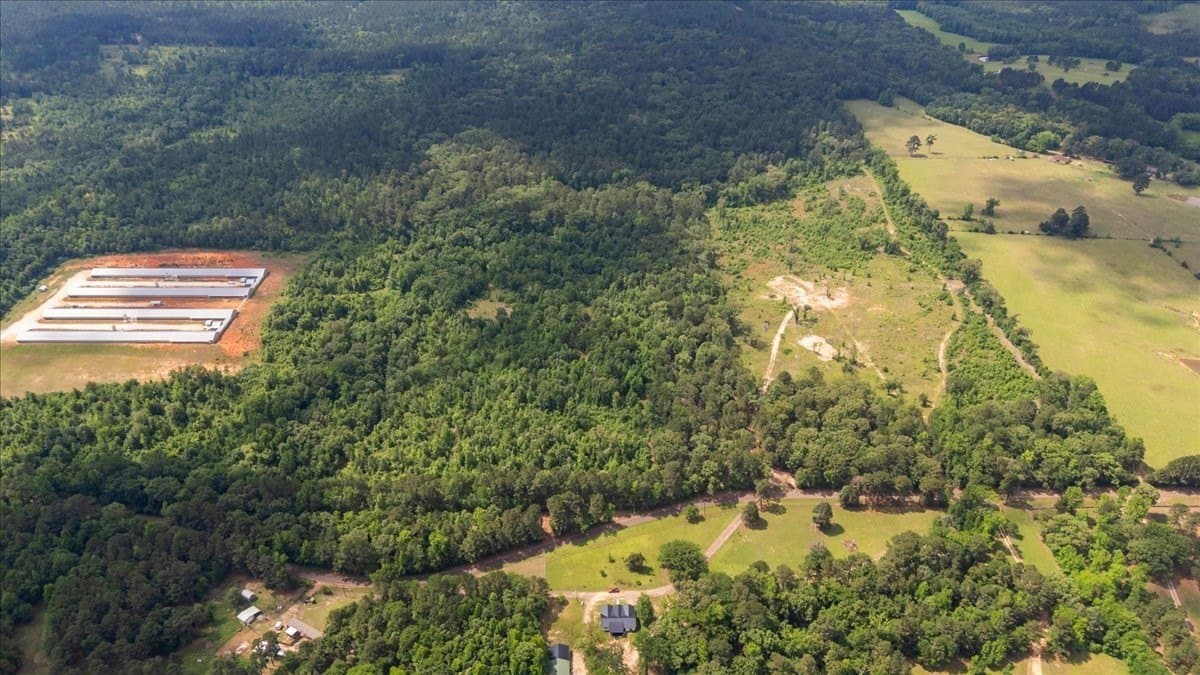 100.56 acres in Wood County - photo 12