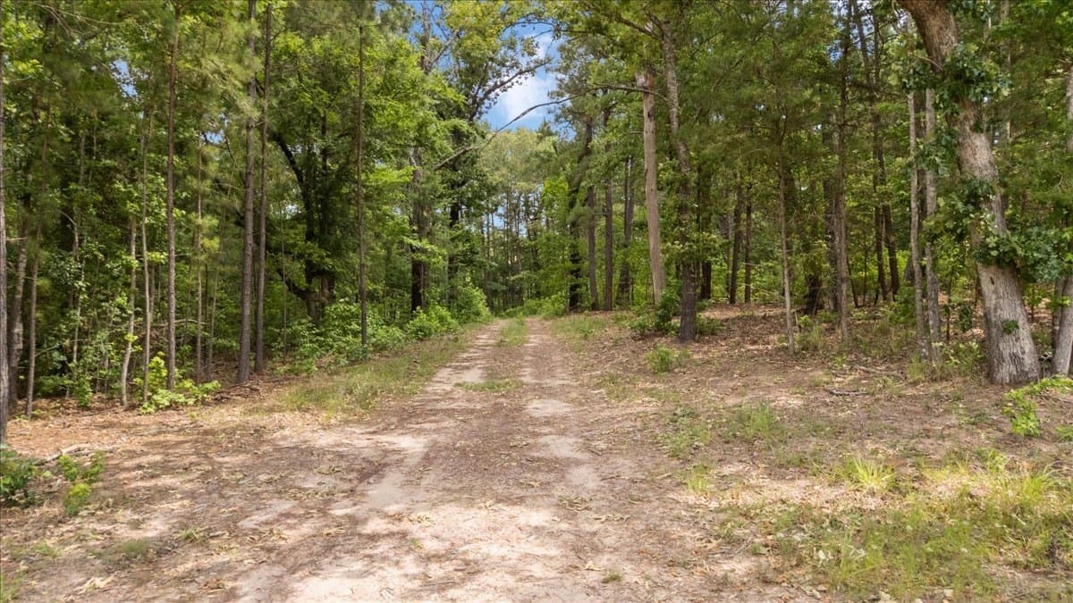 100.56 acres in Wood County - photo 7