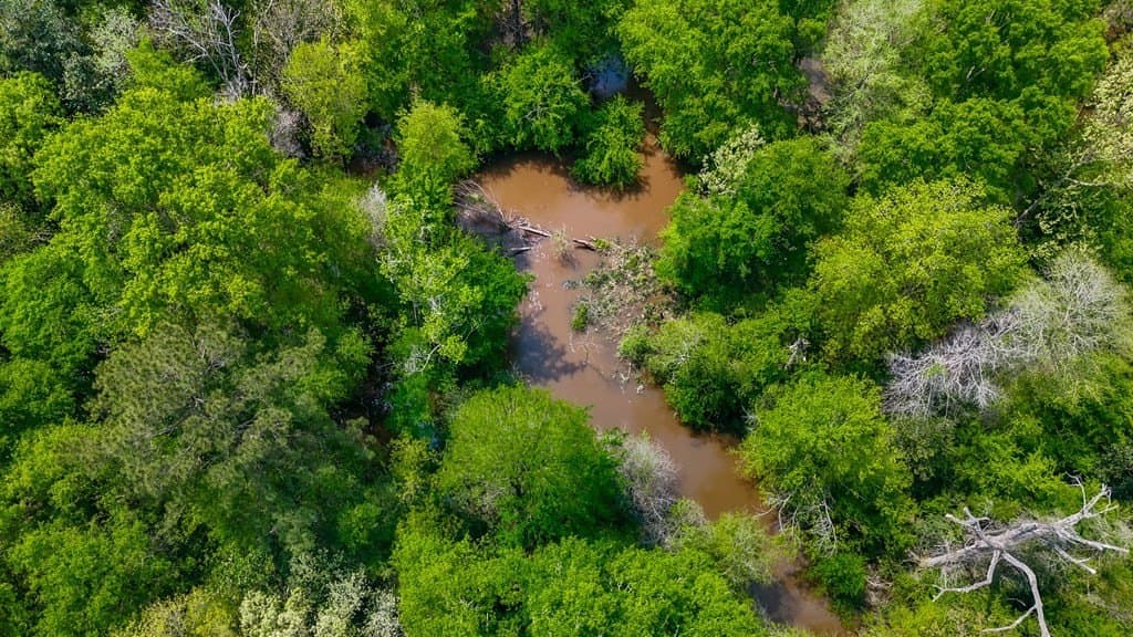 13.54 acres in Texas County gallery image 2