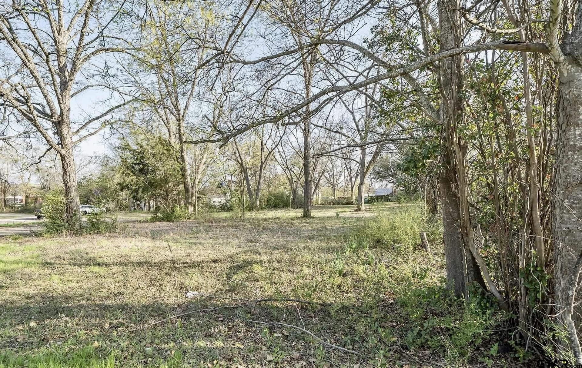 0.26 acres in Upshur County gallery image 2