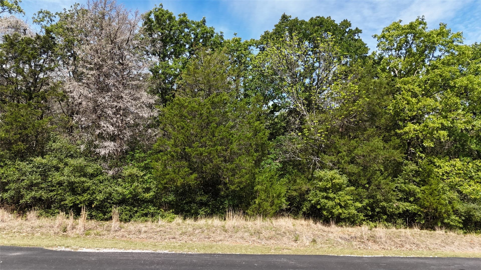 1.39 acres in Freestone County - photo 8