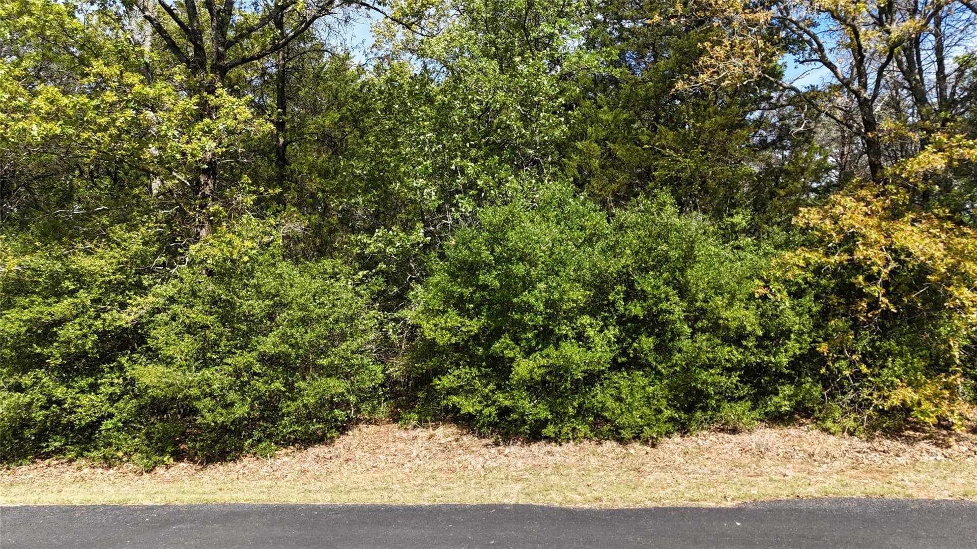 1.39 acres in Freestone County - photo 9
