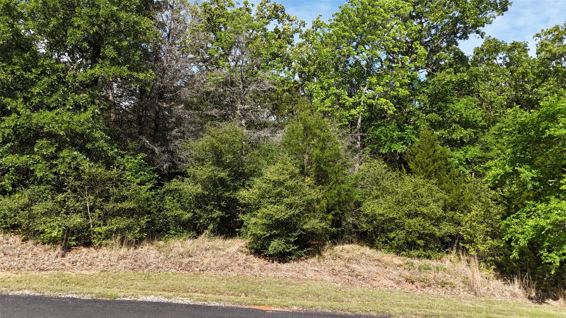 1.39 acres in Freestone County - photo 7