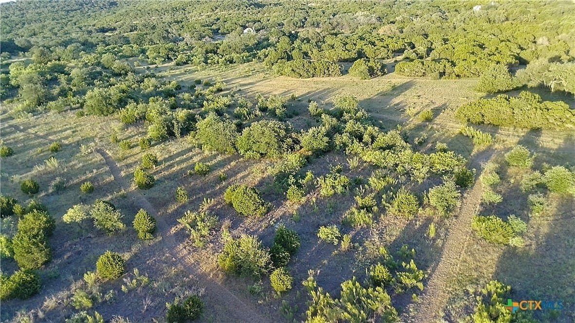 25 acres in Travis County - photo 13