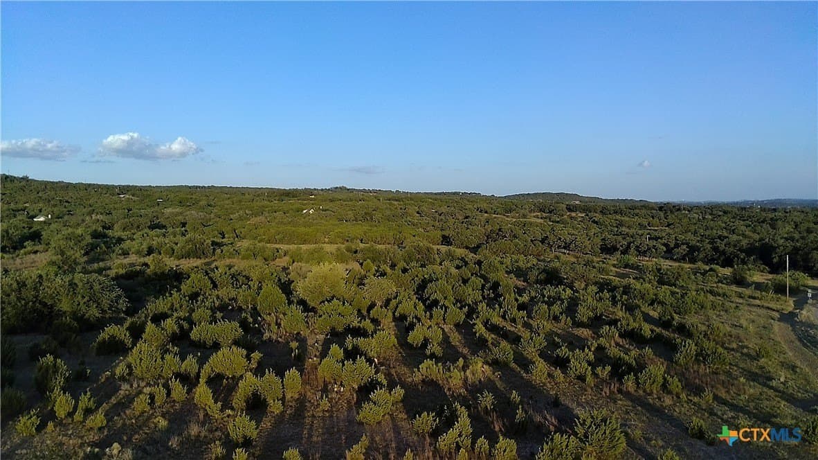 25 acres in Travis County - photo 15