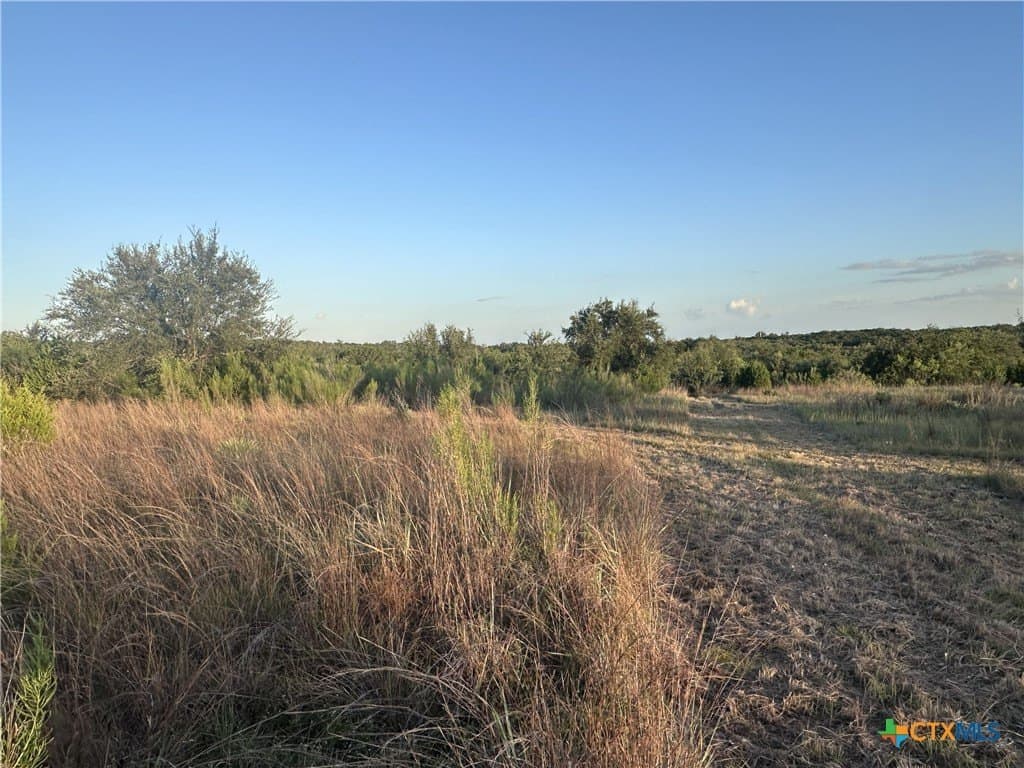 25 acres in Travis County - photo 34