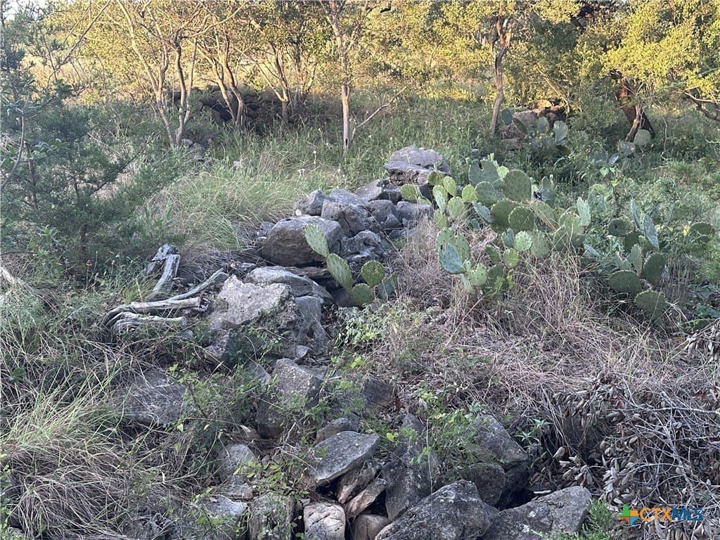 25 acres in Travis County - photo 37