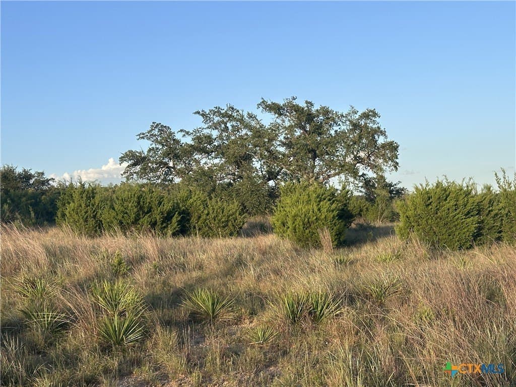 25 acres in Travis County - photo 32