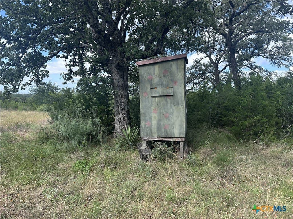 25 acres in Travis County - photo 31